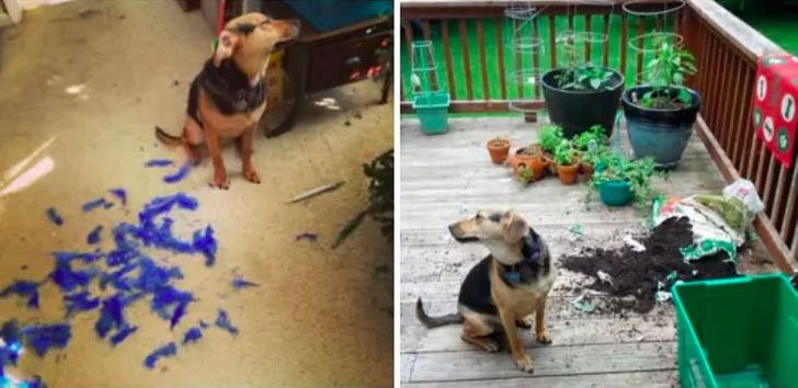 e3ded95b86a58bf07f39821741