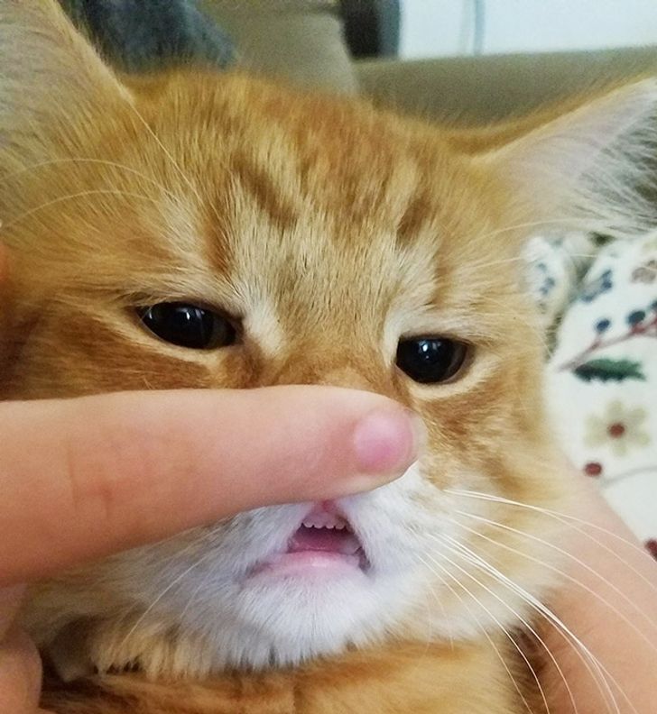 e3e9aa5e91bc66f6cf50dd99a2