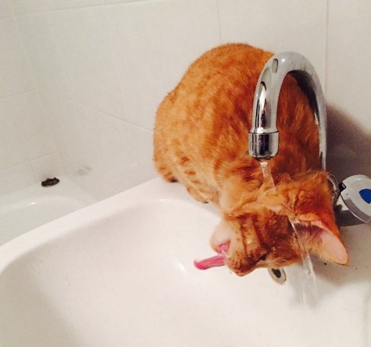 e3f71851c2964d73adf45a17a4