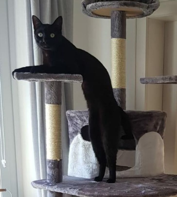 e3f8ef5803a5107f1191f61a61 e3f8ef5803a5107f1191f61a61