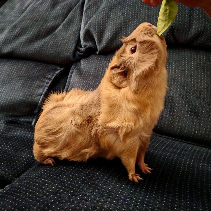 e3f9905094a5b07985e31b13b3