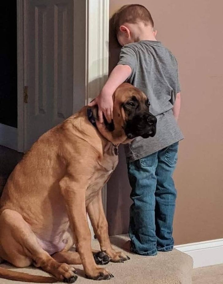 e4075851ddbdb48367dfc72549