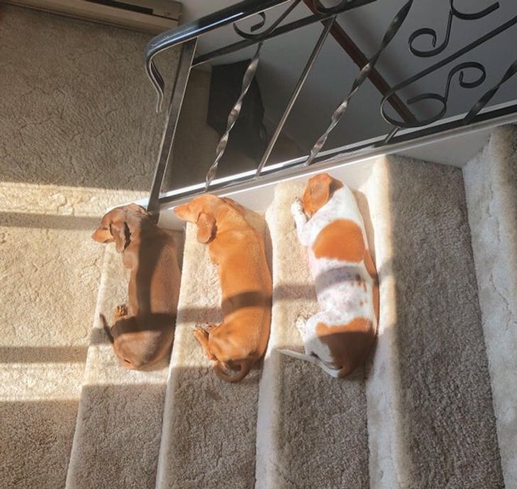 e419775cb0a6da931903f3df73