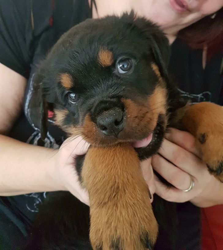 e41f045b80a67853c06db9d11a