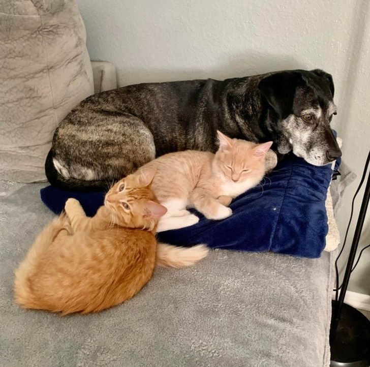 e4257d5595b41d5002ac0b1bc1