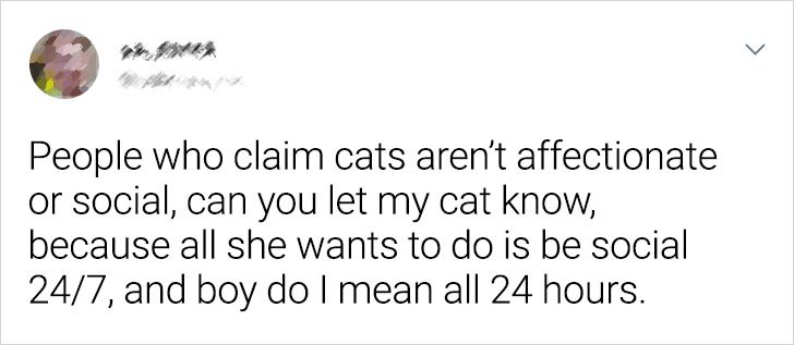 e427c25caa9cc44e3adebeecf4