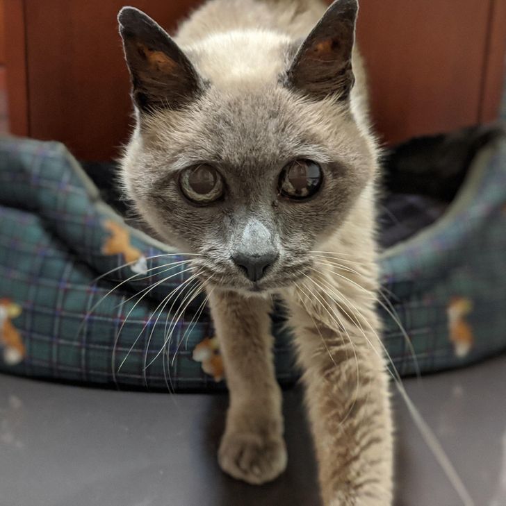 e428d3538ab47f12d7ebf77f83