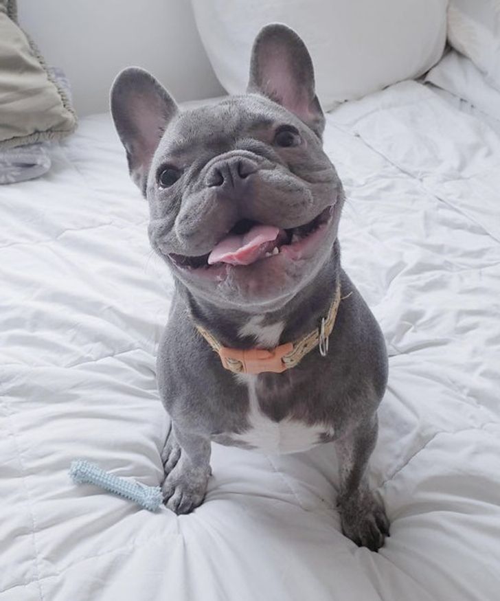 e42eda58e8a6e379d69bcbc274