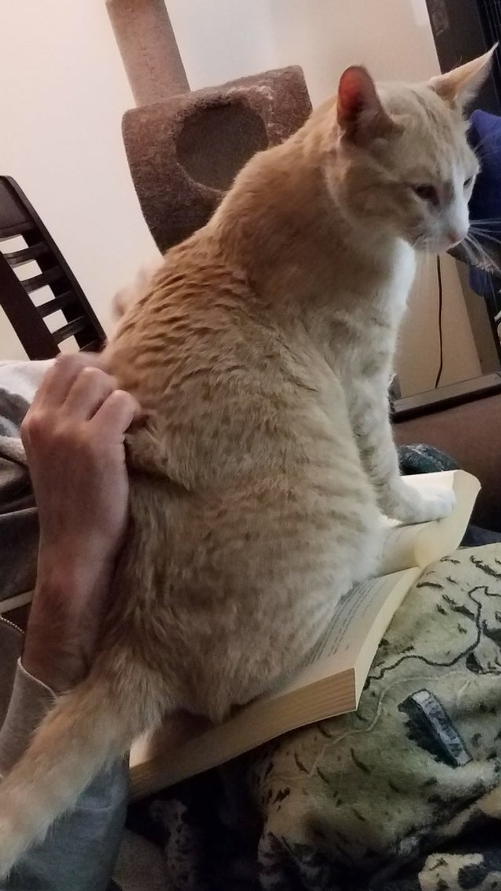 e42f7d5c9aa32a5e194f1dc113 e42f7d5c9aa32a5e194f1dc113