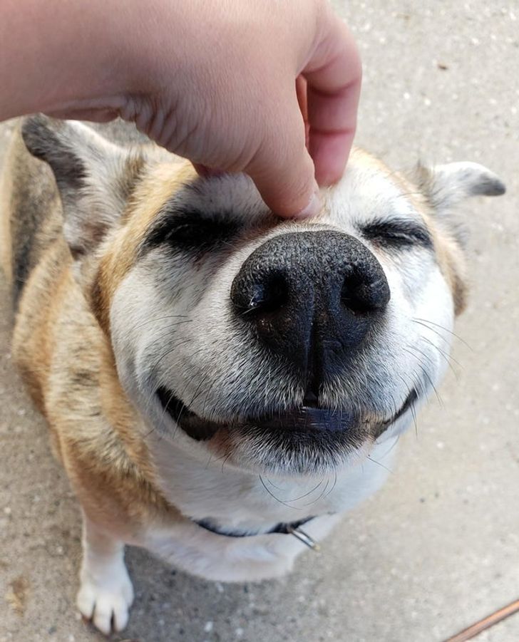 e431dd5902b07eeccfb85c0bd7