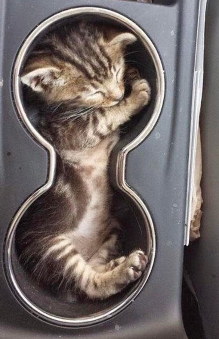 e435d8554aa9cce19ace642eb2 e435d8554aa9cce19ace642eb2