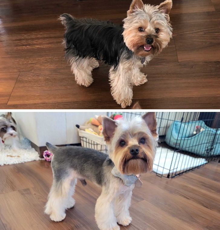 e4394754e6af883fc6c3680892 e4394754e6af883fc6c3680892