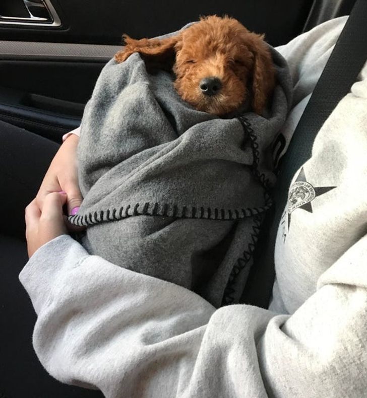 e43ae25ca6b8d3b5f7142095e5