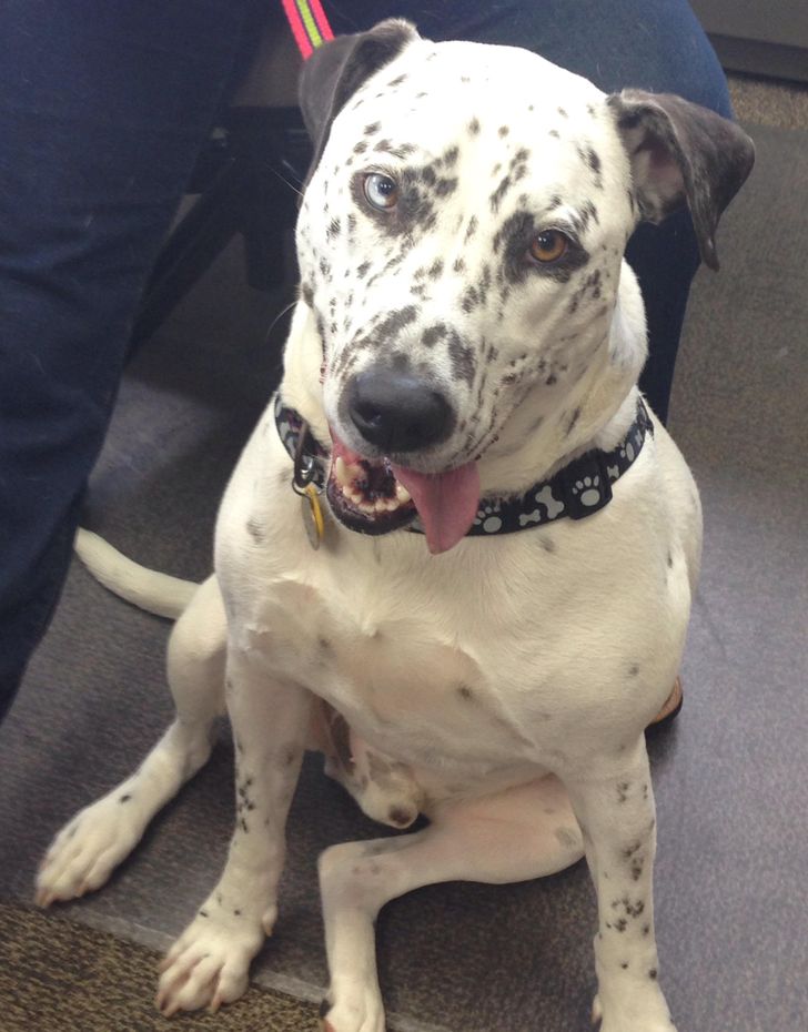 e43d175d44ab23f5f747fbf06a