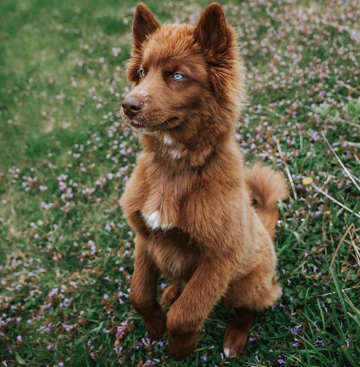 e4401153ff89949b2f9c892c07