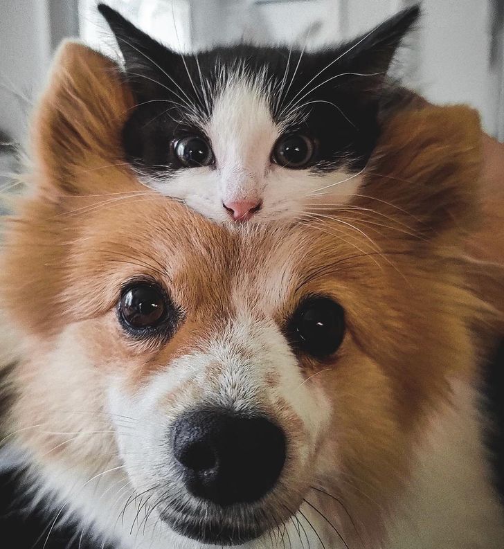 e448f15f7381938a2f52c3effa