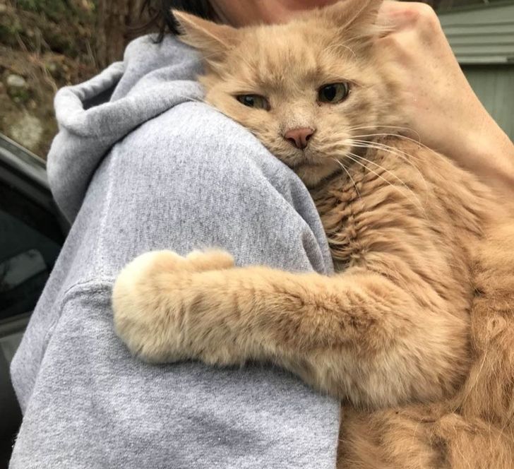 e4496e5737a4af03b952242901