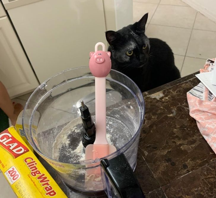 e44a3b583bb289d9fc1ebb3514