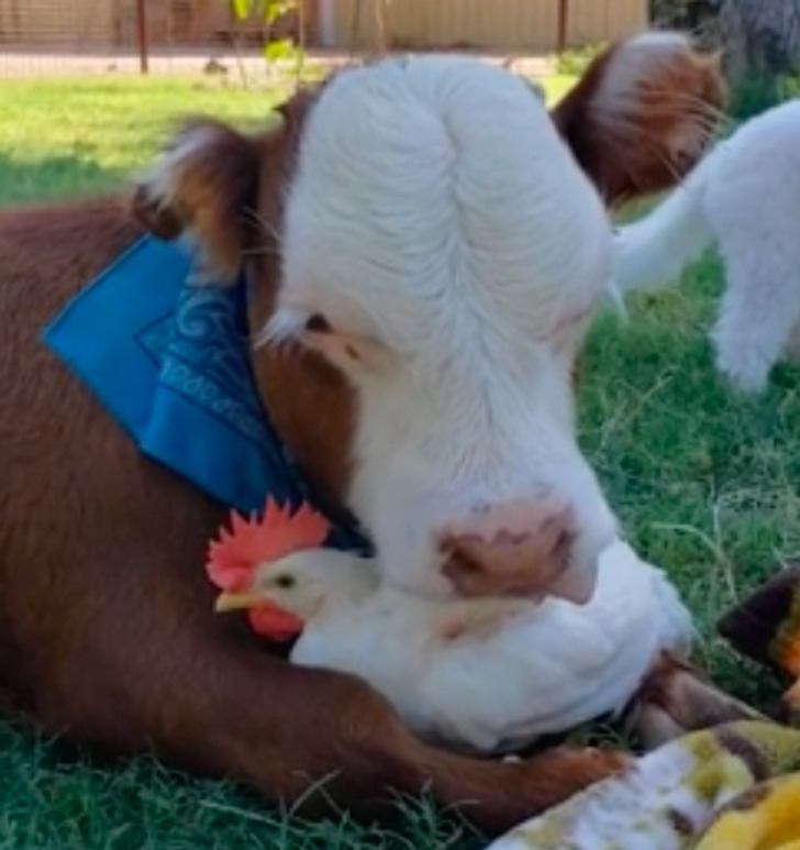 e44a4857eb84622124fc07cb09