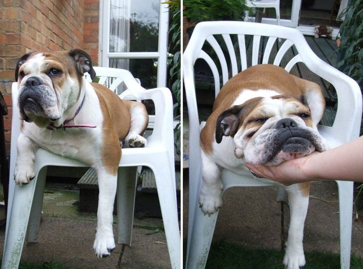 e44e6c5f00b10599ac805625c0