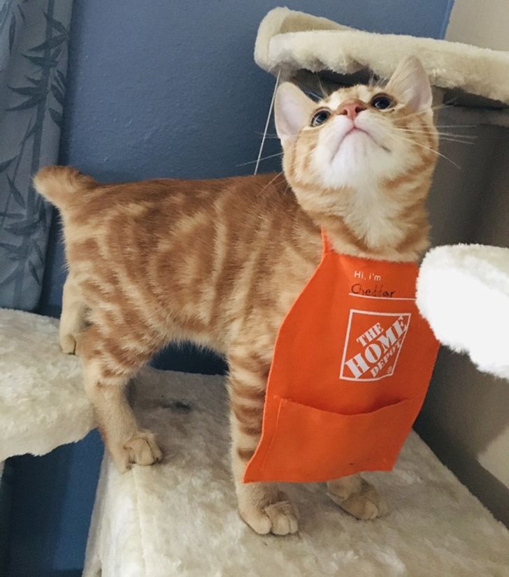 e455a250c4b9f9e23f9221457d