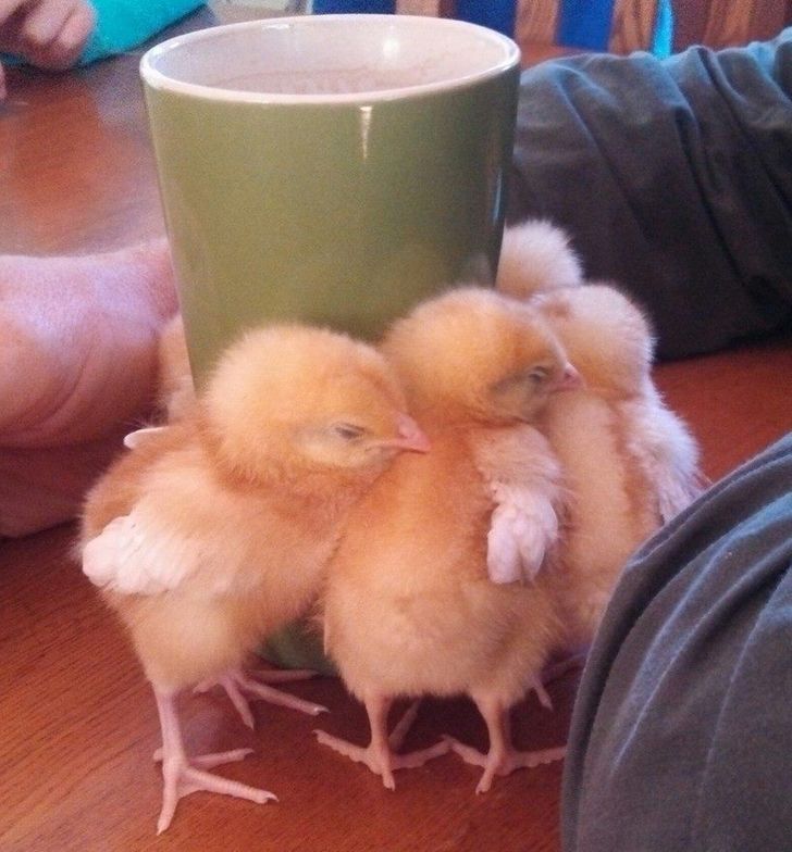 e457d8512daa6256936af57ef4