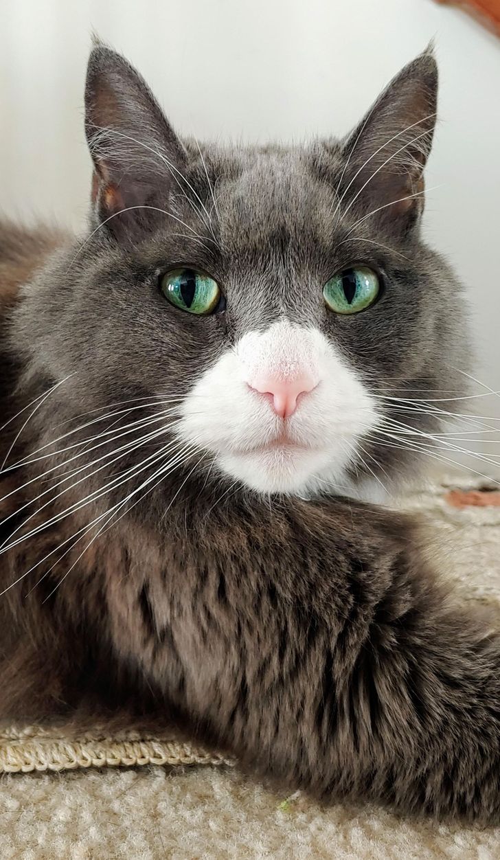 e45bc75bc0962e8a58bd3a0e4f