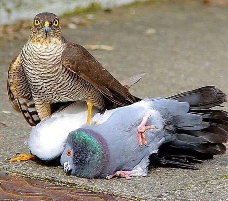 e45f7255f6a5d39dc69507784d