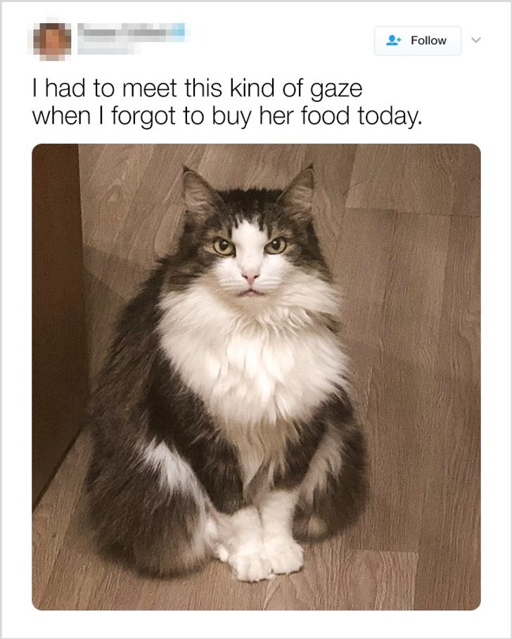 e46ba952039f2d24fdf5855c94