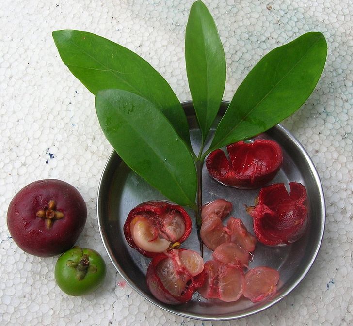 e46df05d4ea051c869ca460b2d