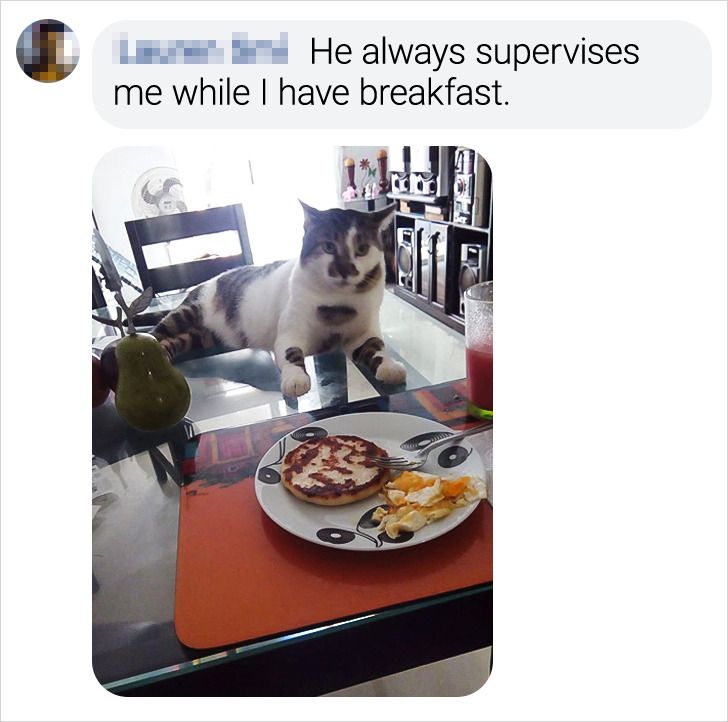 e46e3a55159677bd7d712514b0