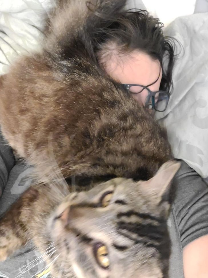 e470655abaa2560c097ae34230