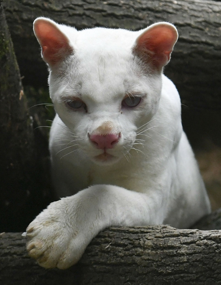 e4751d563b906fa7eb044e7e20