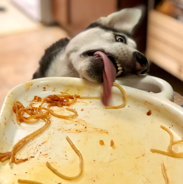 e47ce65668a4afd13e3703c3bd