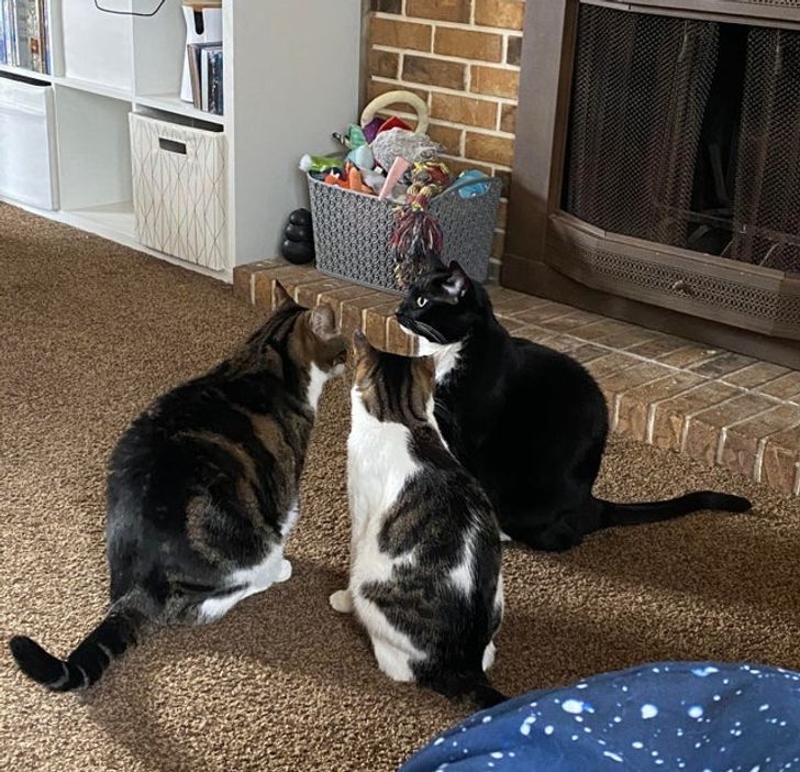 e485d958ca9d6f4fabfd503af1