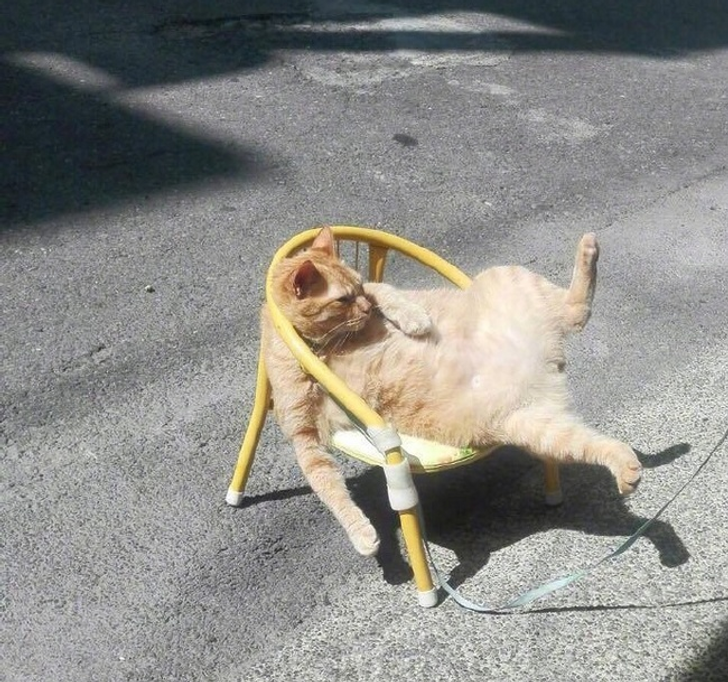 e4896b519e85547dfc2819ff39