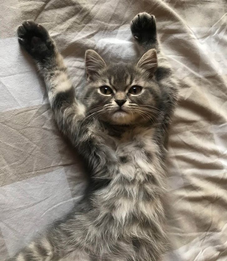 e48d185182bd04f15e2020f613