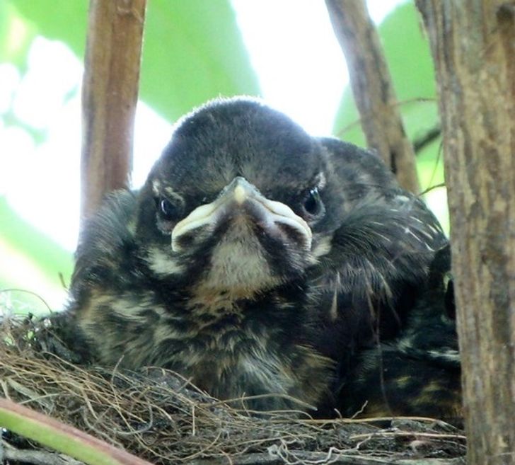 e49bec509e8f11a01608f0e2e5