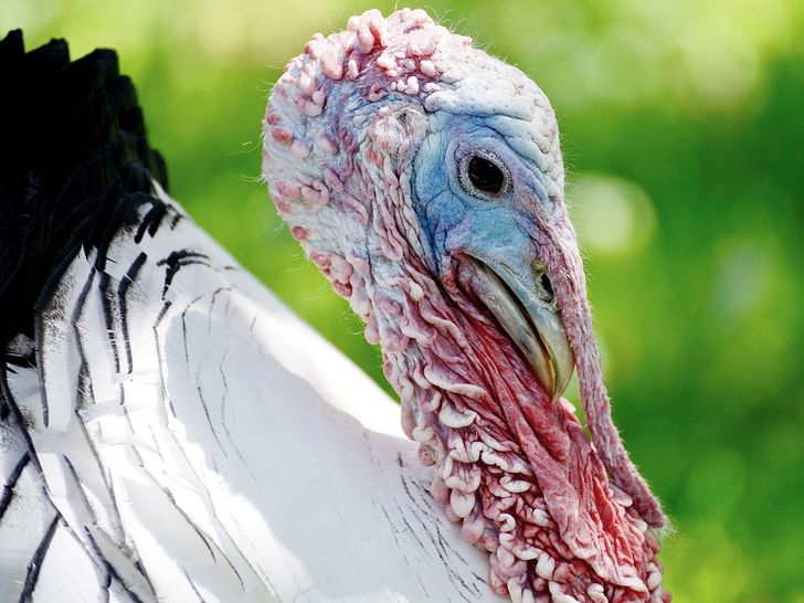 e4a1d8560d95d870b7b57e2fc6