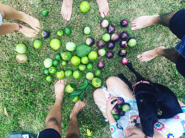 e4a66e5dd3808eee04a8cede25