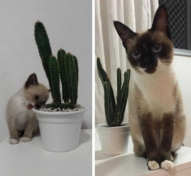 e4a86756b5bab5eea601b95a3e