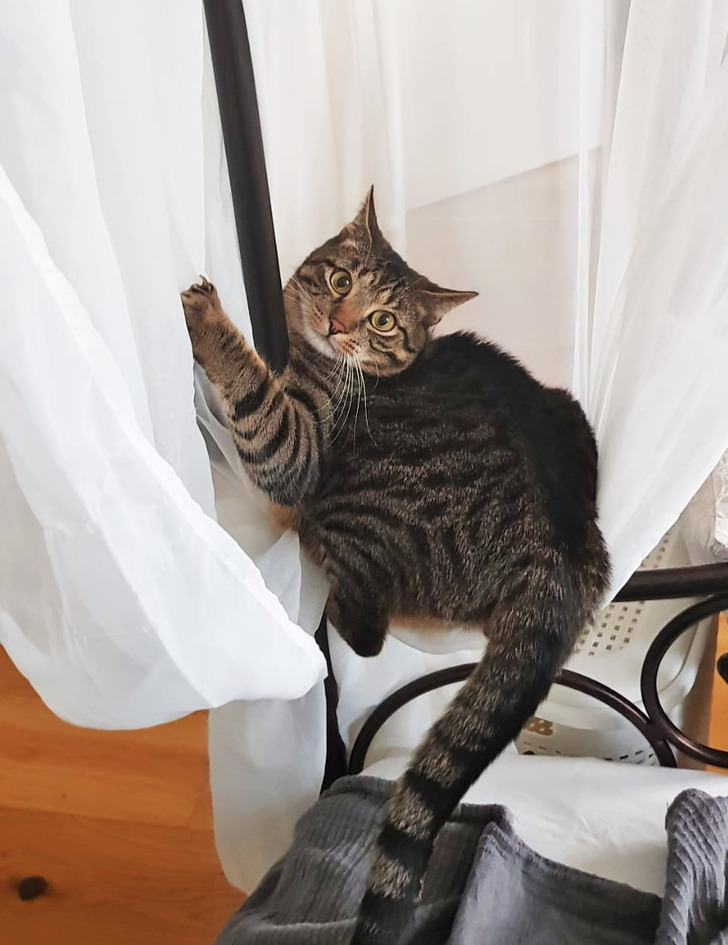 e4a877564a91ba6f532ac502b4