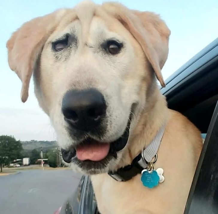 e4ad6450758fdad7ecfa1e06c0