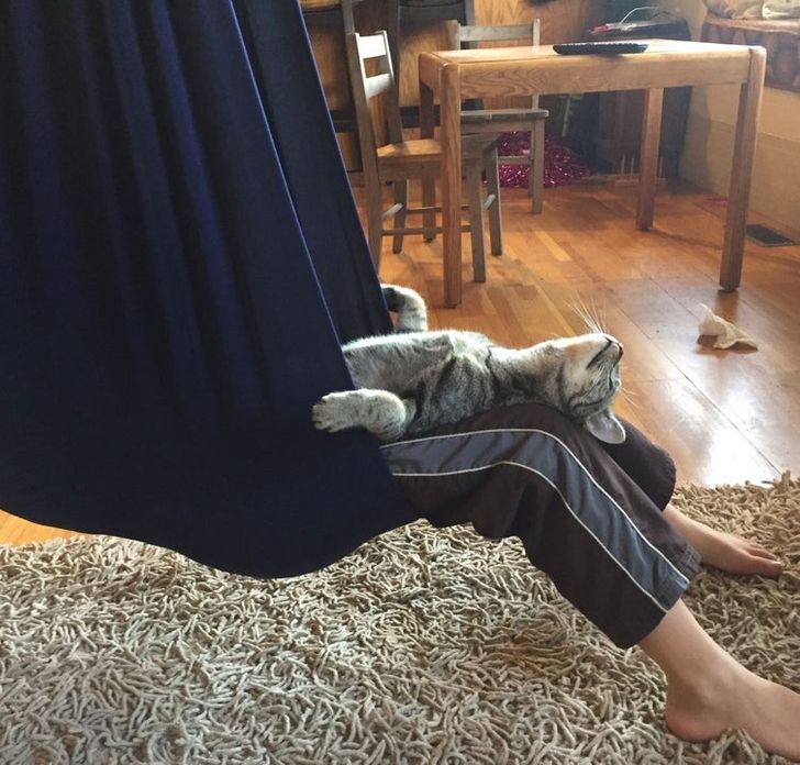 e4b737524db5fecb2dbcf5d207