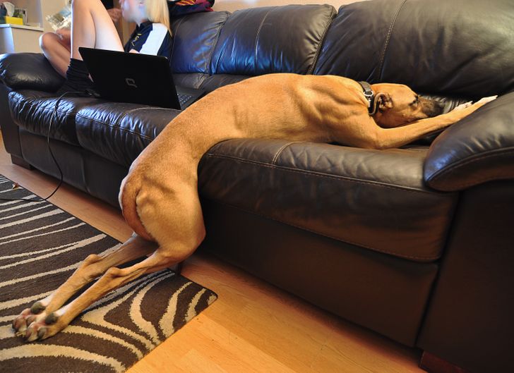 e4bdaf53f78719066c1f182822