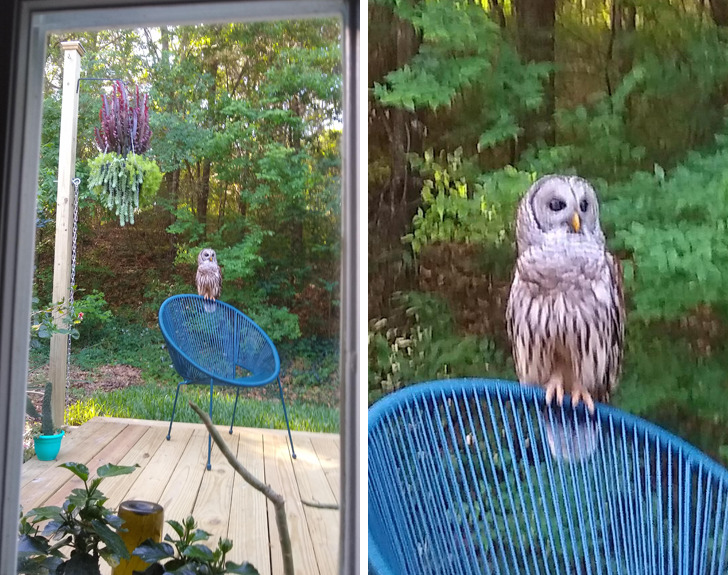 e4c4e65880865363c846638885