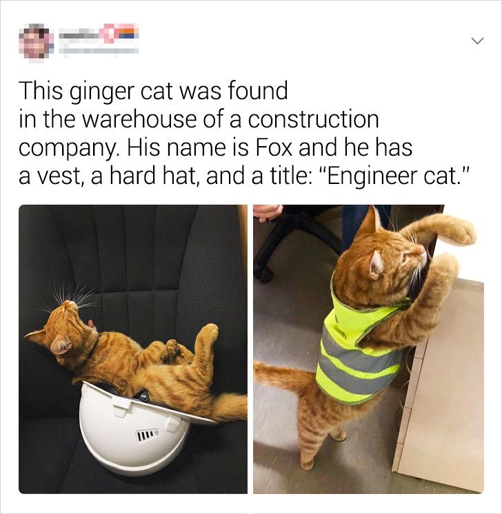 e4c65b59cbbde174ea282b324d