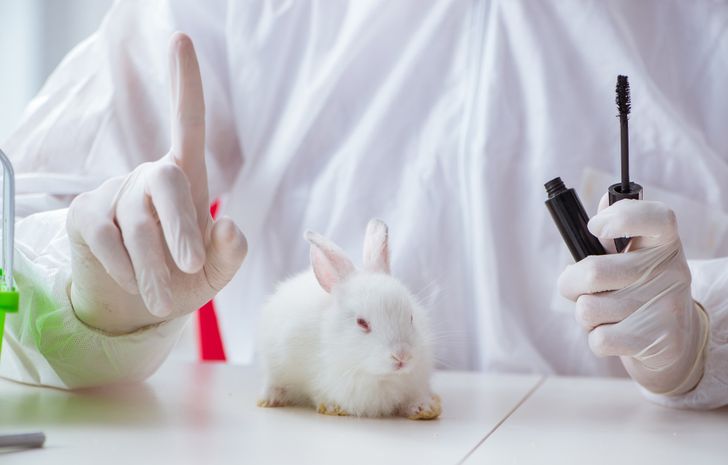 e4d53d5e8995980ab832a03259