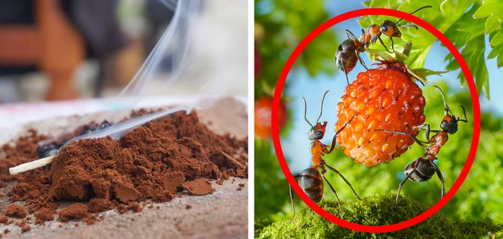 e4d6fc5f298fab41fad004eb88