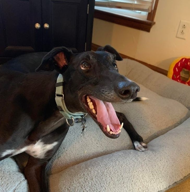 e4d7e6517ea5c7e7dd278dbc87